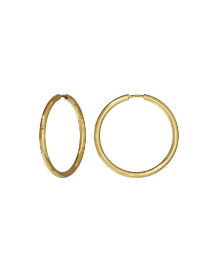 Earrings Big Hoop gilding
