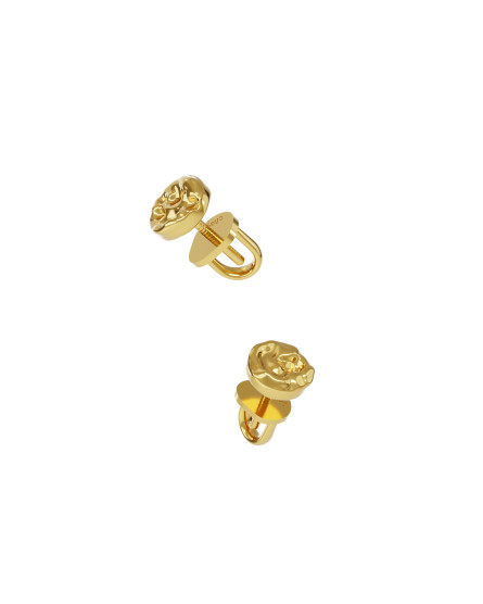 Earrings Stones gilding