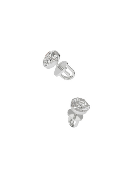 Earrings Stones silver