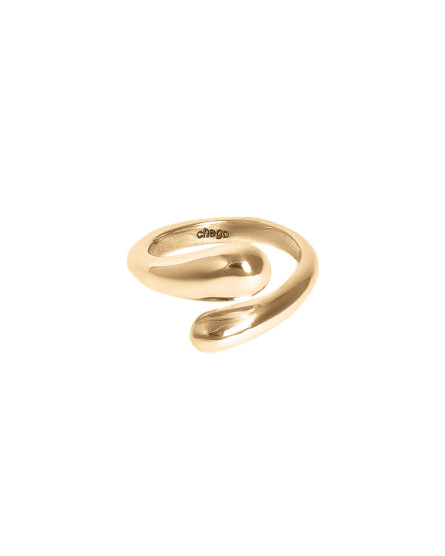 Ring Snake gilding