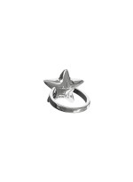 Ring star - Make a wish silver