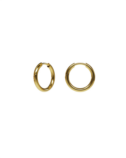 Earrings Hoop gilding
