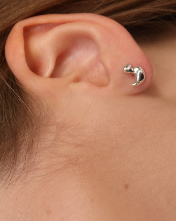 Сережка Каченя з додатковою сережкою - Summer in the village