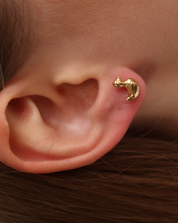 Сережка Каченя з додатковою сережкою - Summer in the village