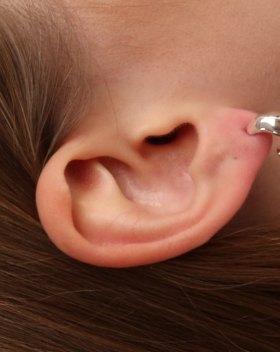 Earrings "New classic"